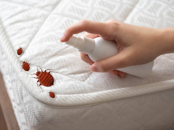 Professional Pest control in Waterville, WA